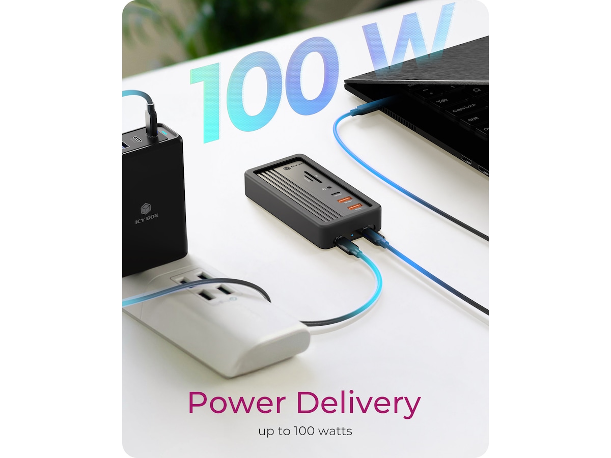 Icy Box 10-i-1 dokkingstasjon Dockingstasjon & USB-HUB