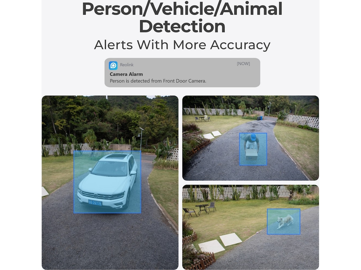 Reolink P320 overvåkningskamera Overvåkningskameraer
