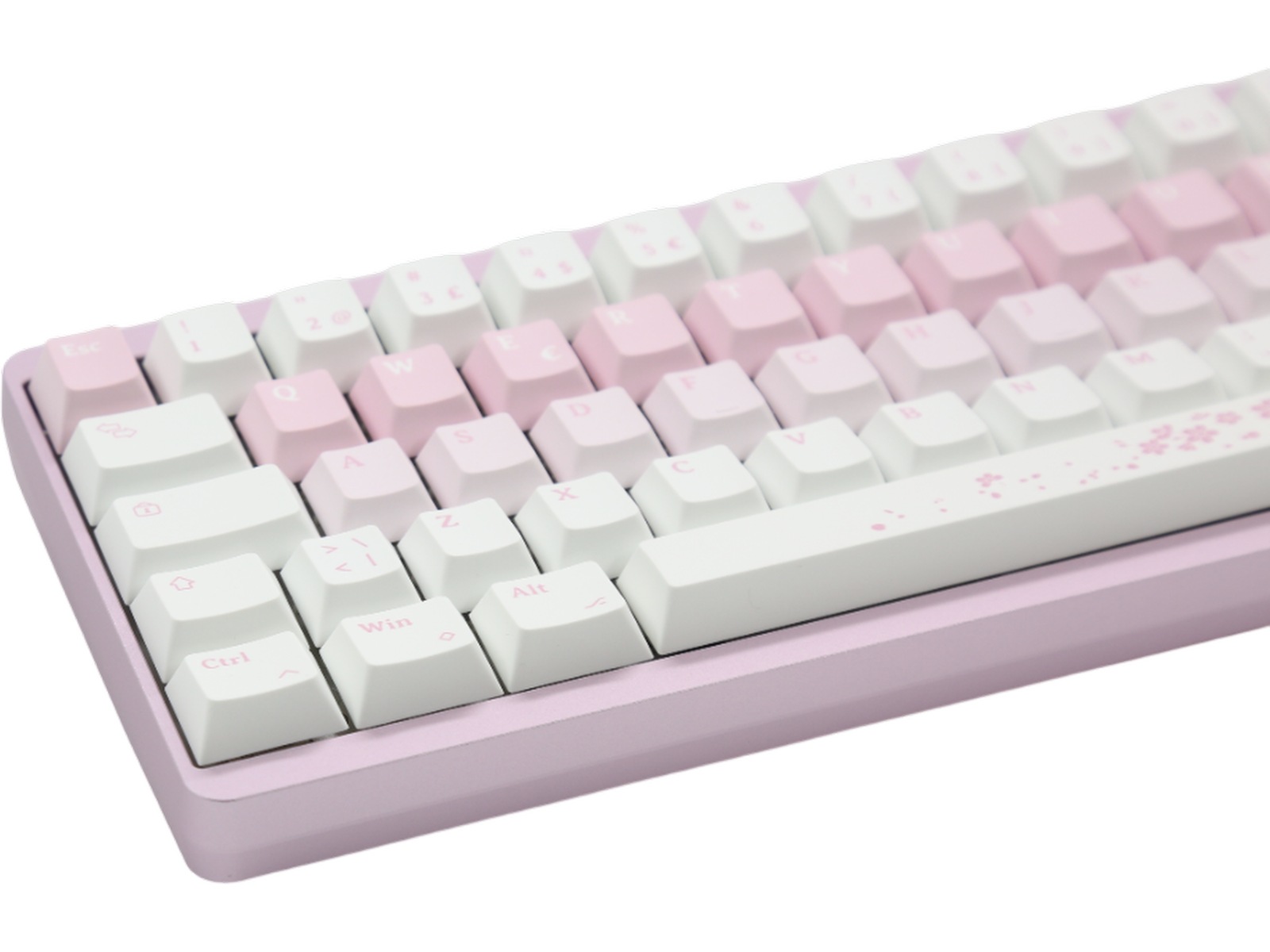 Varmilo Muse65 HE Sakura 65% Gamingtastatur Gamingtastatur
