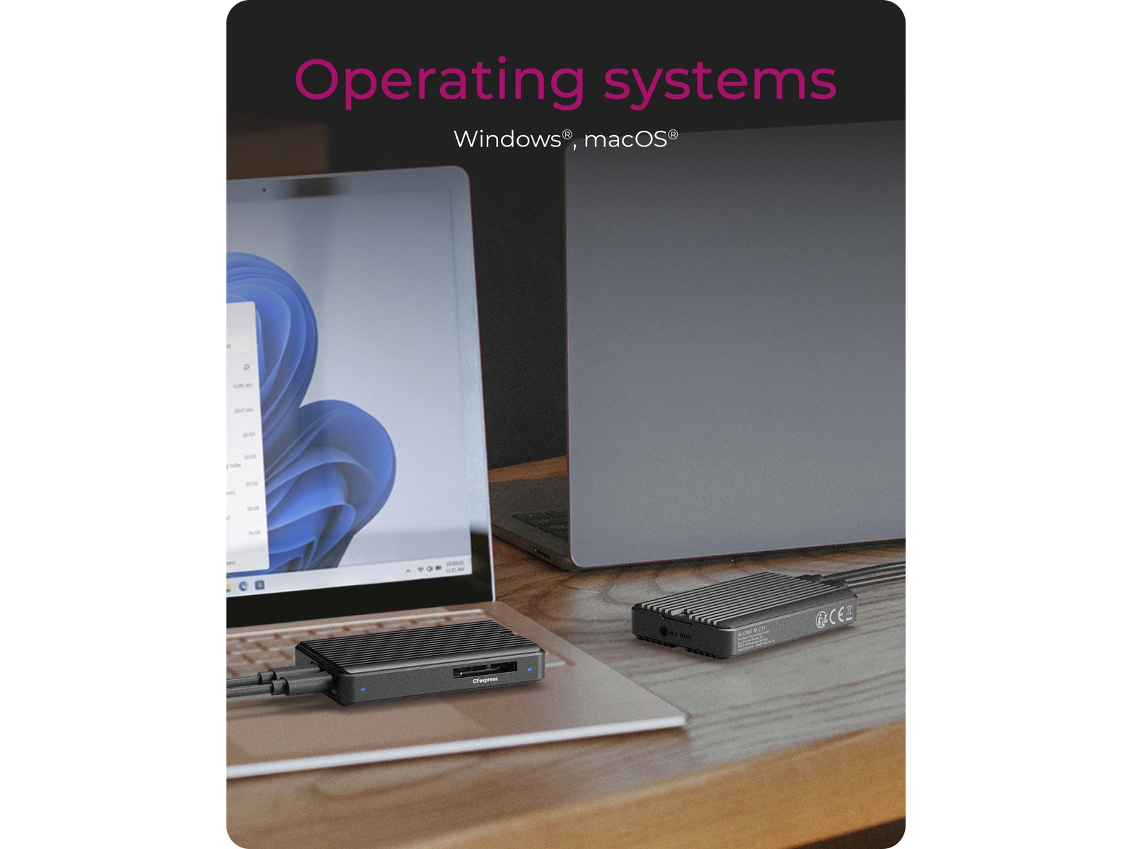 ICY BOX M.2 SSD-Enclosure Eksterne kabinetter