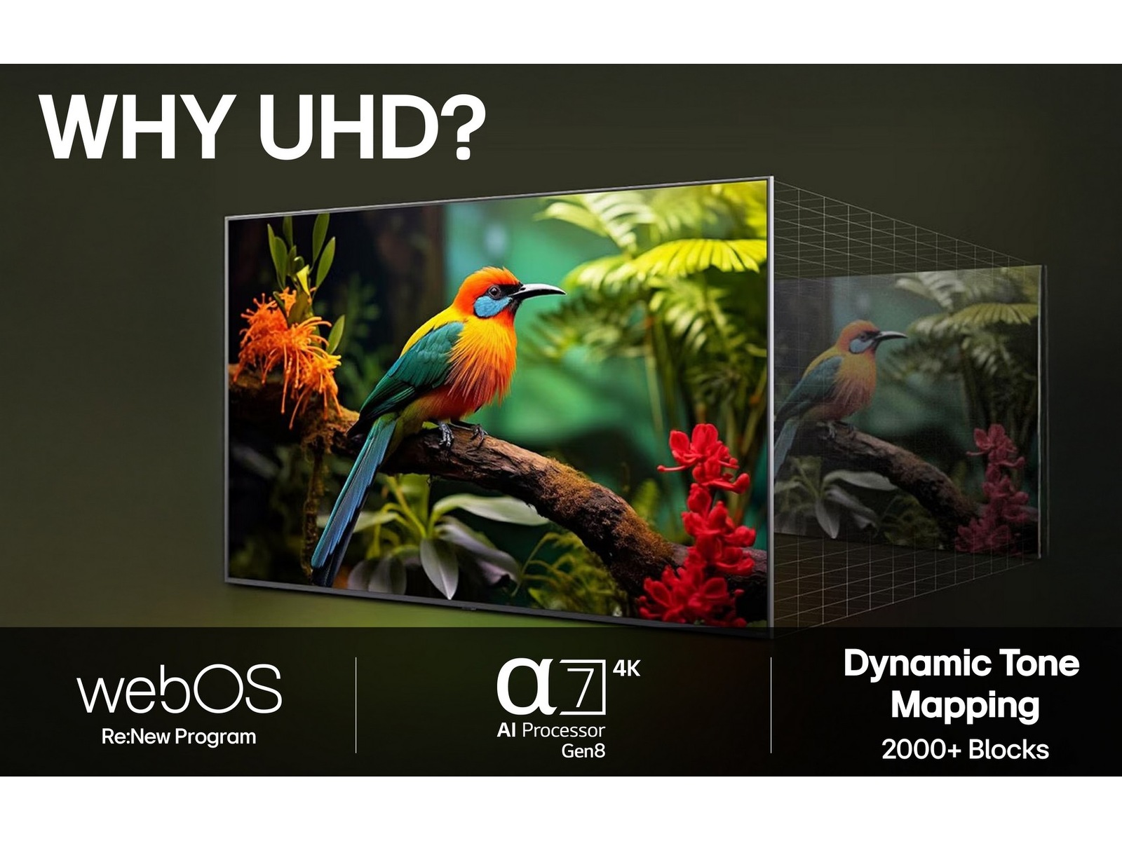 LG 55" UA73 AI 4K UHD Smart TV (2025) -B-Grade Demo TV/projektor