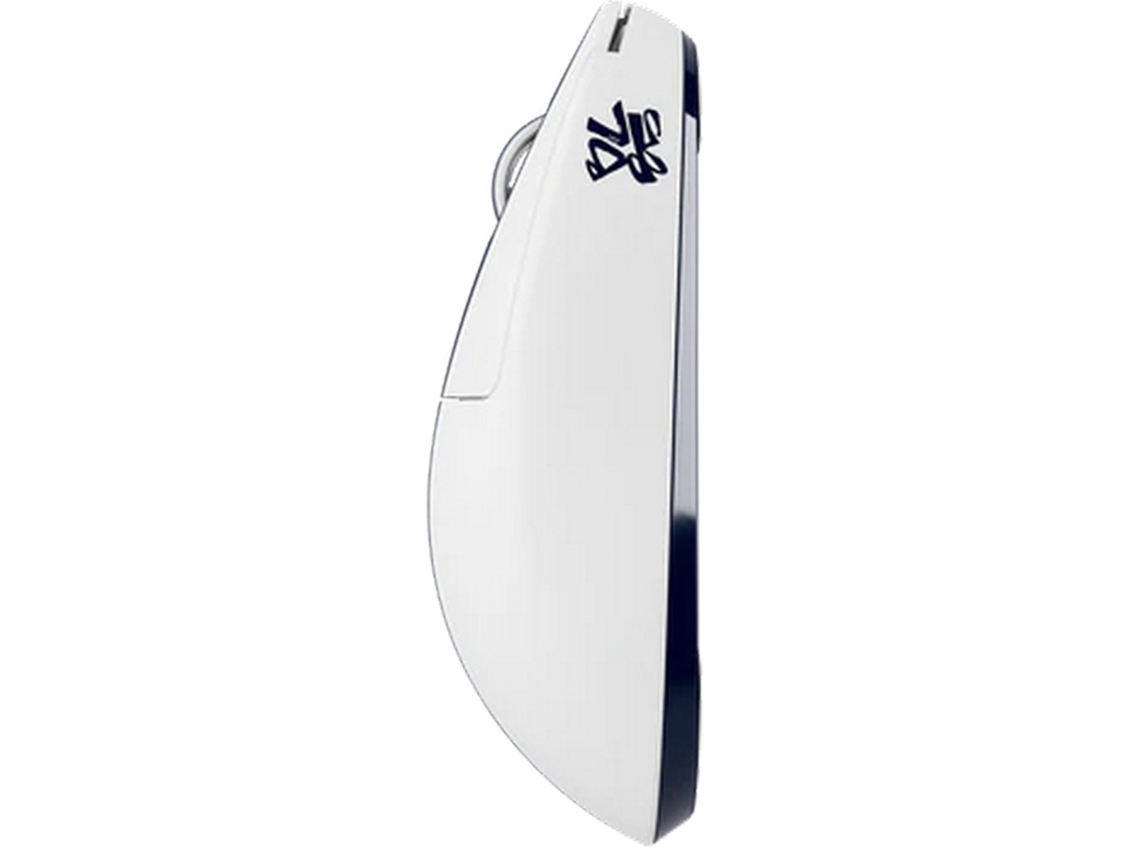 Pulsar X2 CRAZYLIGHT Gamingmus Medium Bruce Lee 85 Edition Gaming Mus