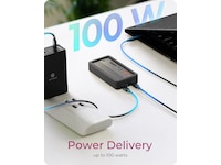 Icy Box 10-i-1 dokkingstasjon Dockingstasjon & USB-HUB