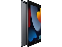 iPad 10,2" (2021) 64GB WiFi (stellargrå) - Gradering B Nettbrett / iPad