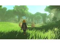Hyrule Warriors: Age of Imprisonment Switch 2 Spill til Nintendo Switch 2