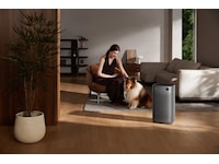 Smartmi Air Purifier 3 Luftrensere