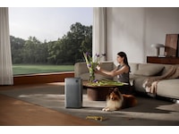 Smartmi Air Purifier 3 Luftrensere