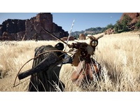 Crimson Desert Spill til Playstation 5