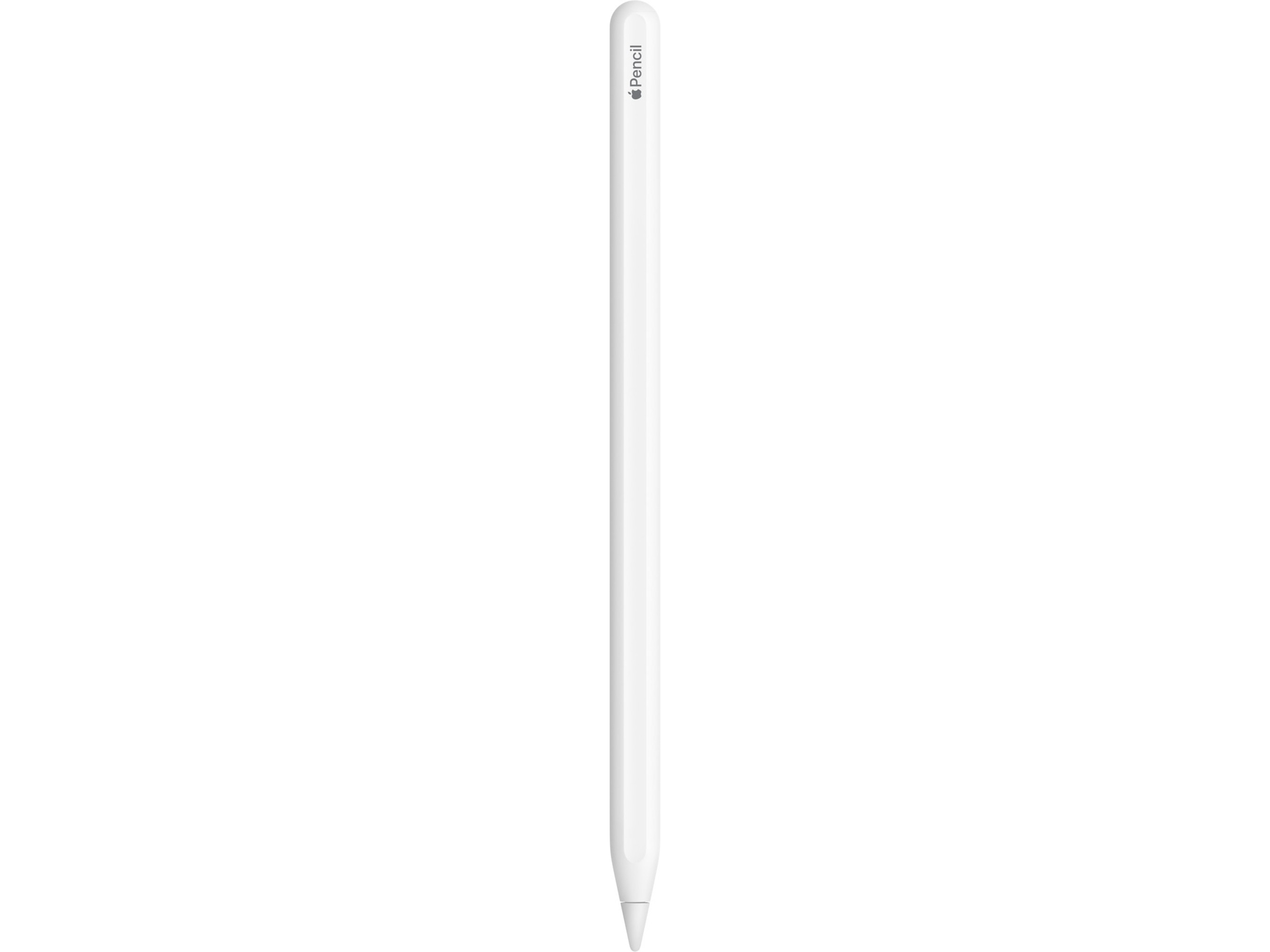 Apple Pencil (2. gen) (hvit) Tastatur og stylus