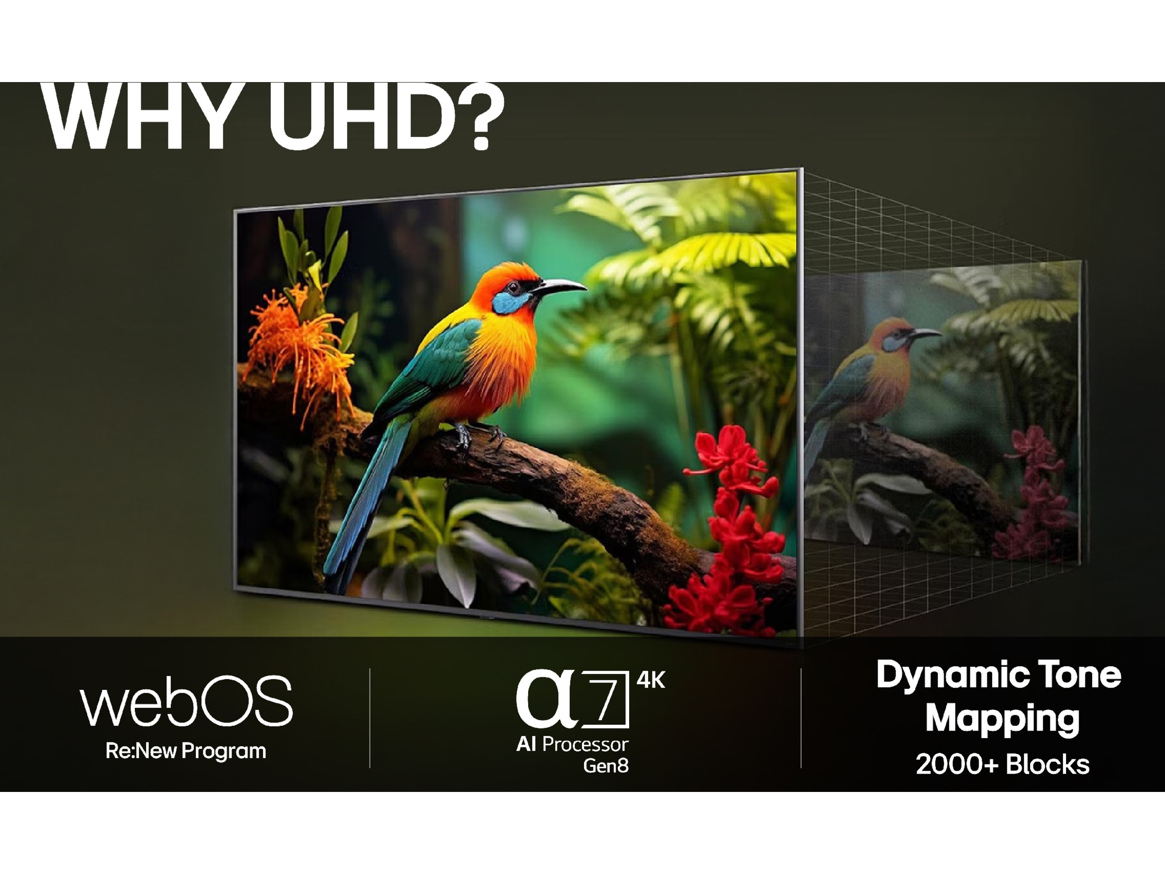 LG 75'' UA75 AI 4k Smart TV (2025) 70 - 79 tommer TV