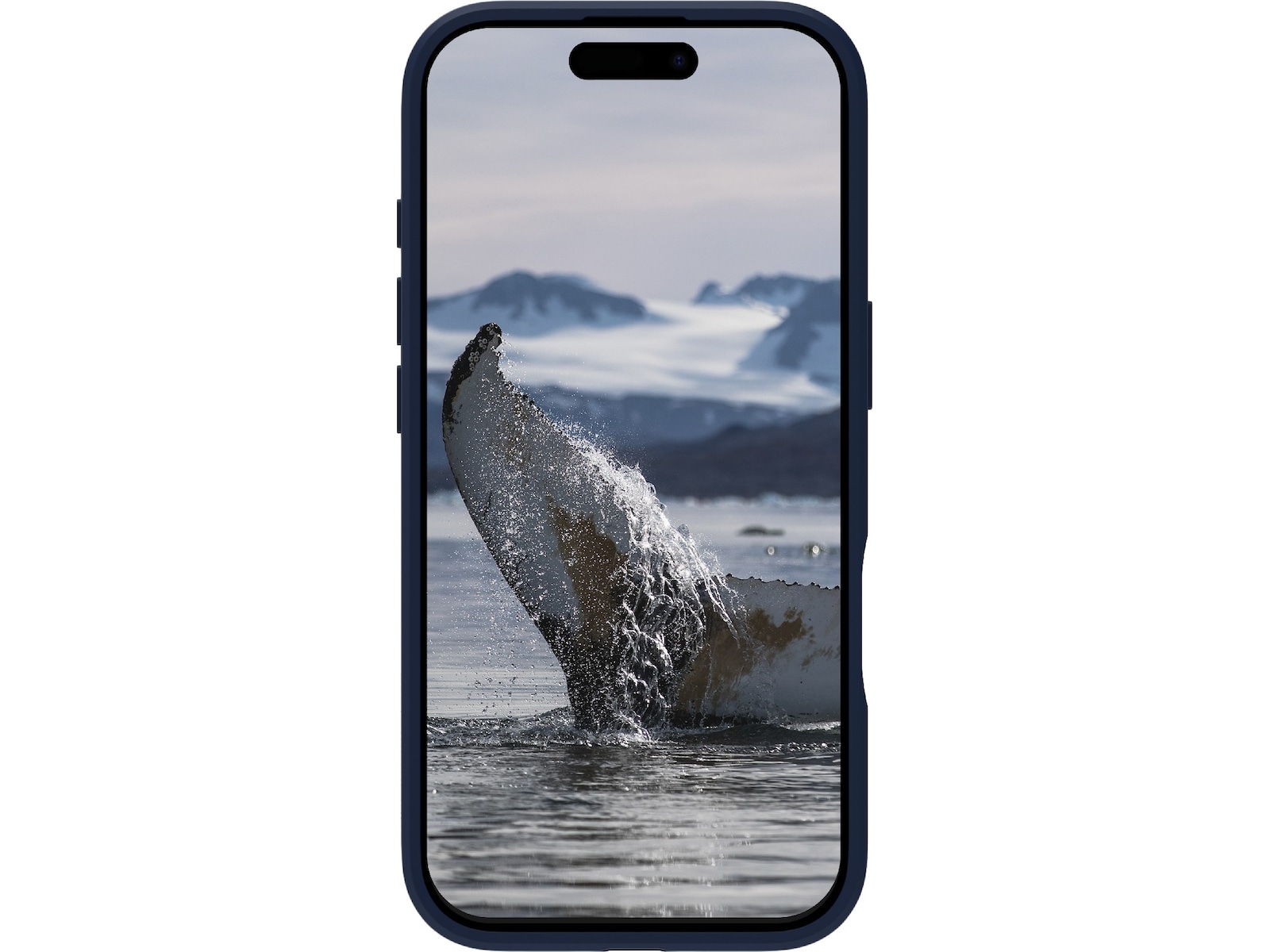 dbramante1928 iPhone 17 Greenland Pro deksel (pacific blue) Deksel til mobiltelefon