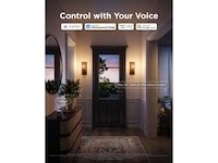 Govee Smart Edison Bulb E27, RGBWW LED Lamp ST64, Compatible with Matter Lyspærer & LED-pærer