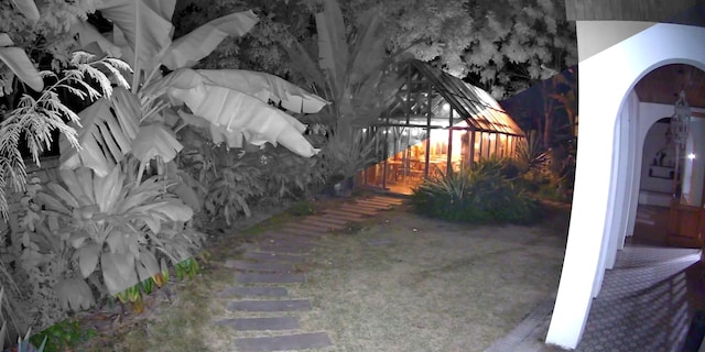 spotlight & black and white vision split image