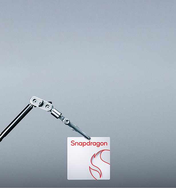 Snapdragon Snapdragon