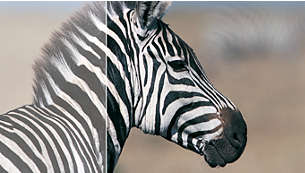 Philips 27" LED Curved 275E1S/00