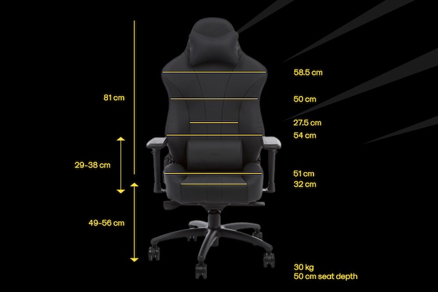 Svive Phoenix Infographic Svive Phoenix Infographic