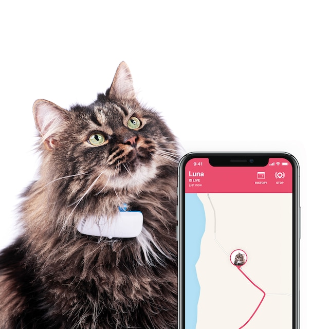 tractive gps sporer til katt tractive gps sporer til katt