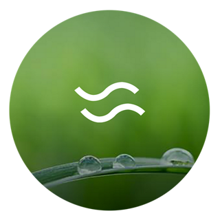 Tranquilities Tranquilities