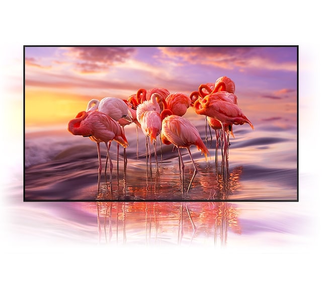 Samsung Qled Samsung Qled