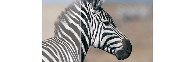 Philips monitor SmartContrast Philips monitor SmartContrast