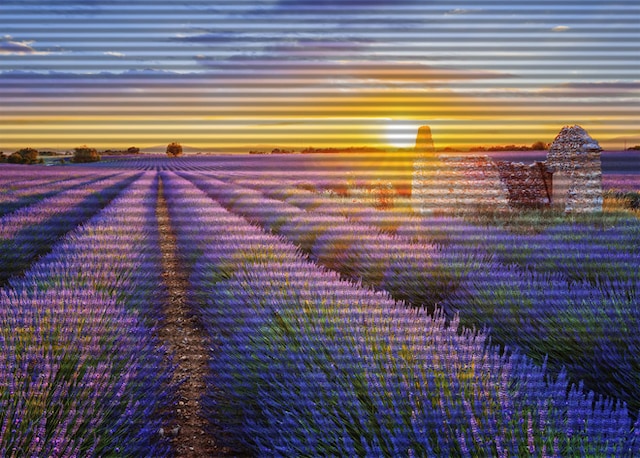 Asus 16" portabel MB16AH Asus 16" portabel MB16AH