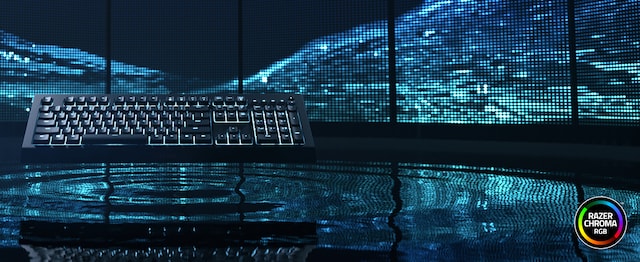 Razer Cynosa v2 Razer Cynosa v2