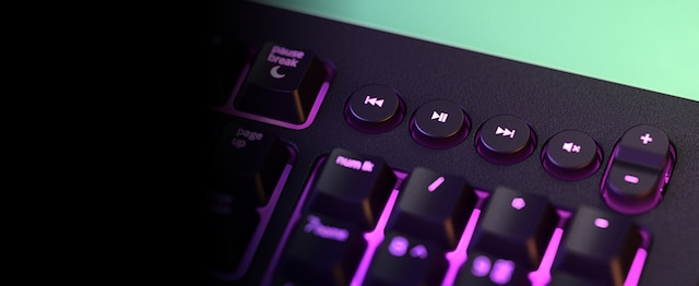 Razer Cynosa v2 Razer Cynosa v2