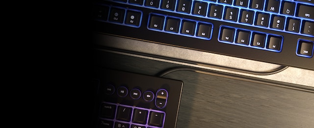 Razer Cynosa v2 Razer Cynosa v2