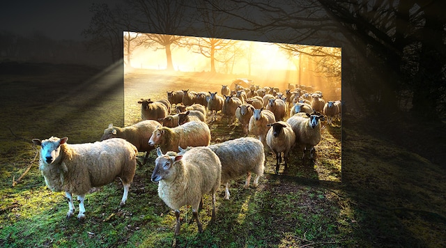 Quantum HDR 4000 Quantum HDR 4000