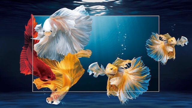 Dolby Vision Dolby Vision