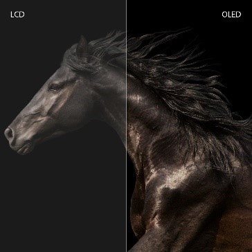 ASUS Zenbook 14X 14" laptop ASUS Zenbook 14X 14" laptop