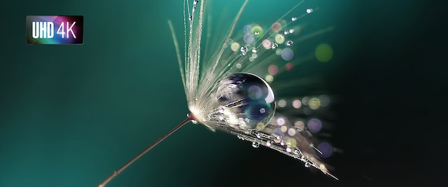 Acer 4K DLP Projektor H6800BDa Acer 4K DLP Projektor H6800BDa