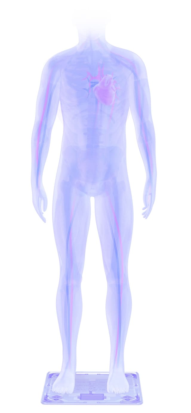 Withings Body + Withings Body +