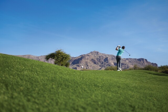 Garmin Approach S12 Garmin Approach S12