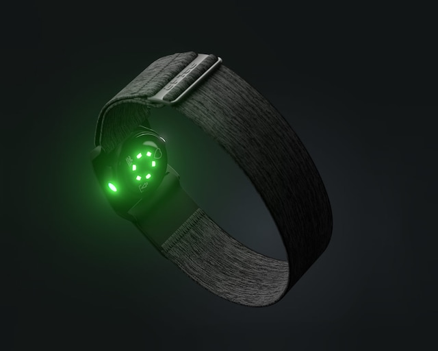 Polar Verity Sense Pulssensor Polar Verity Sense Pulssensor