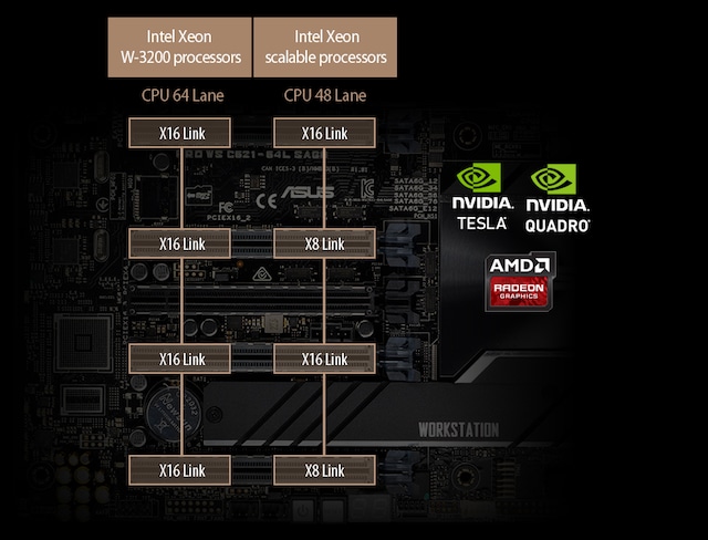 asus gpu support asus gpu support
