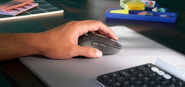 mouse in action mouse in action