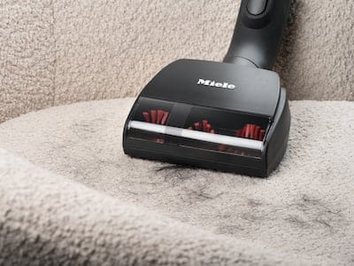 perfekt for dyrehår perfekt for dyrehår