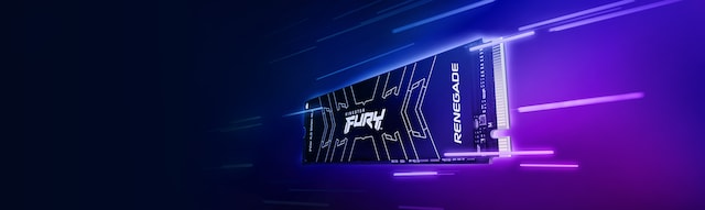 Kingston Fury Renegade Kingston Fury Renegade