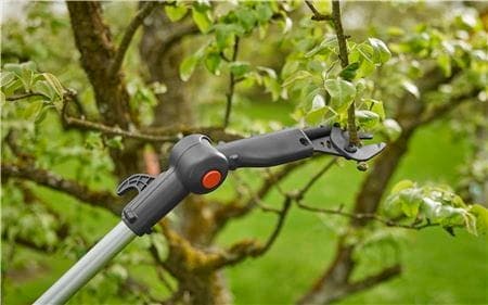 Klippehode Klippehode