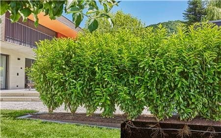 Fleksibelt over og under bakken Fleksibelt over og under bakken