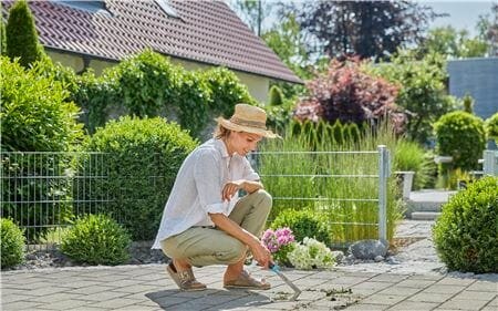 Fugekrafse Fugekrafse