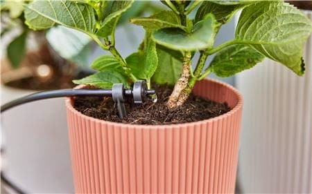 For planter i potter og kasser For planter i potter og kasser