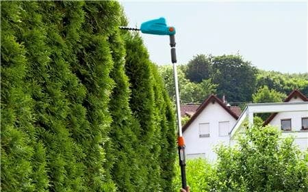 Hekker opptil 3m høye Hekker opptil 3m høye