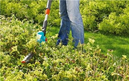 Det eneste du trenger Det eneste du trenger