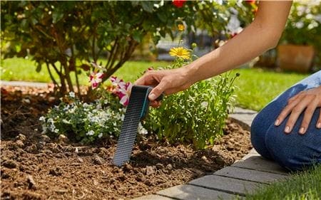 Digital rot Digital rot