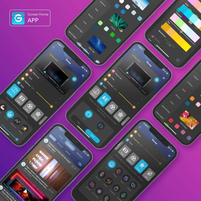 Govee Govee