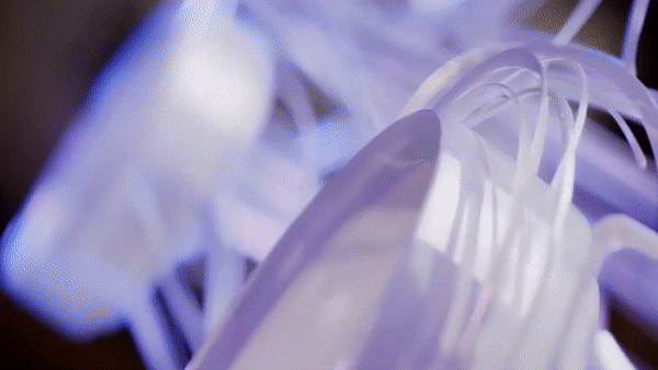 Nye måter å skrive på Nye måter å skrive på