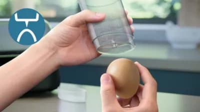 Philips HD9137/90 Eggkoker