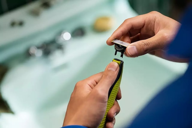 Blad som ikke falmer lett Blad som ikke falmer lett